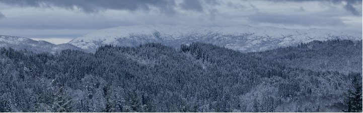 drones profesionales